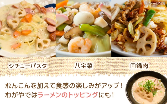 れんこん 蓮根 レンコン 泥付きれんこん 泥付き 佐賀県 白石町 きんぴら 煮物