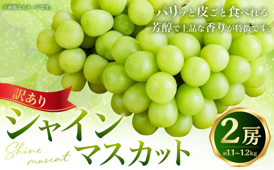 （訳あり） シャインマスカット 2房 約1.1～1.2kg
