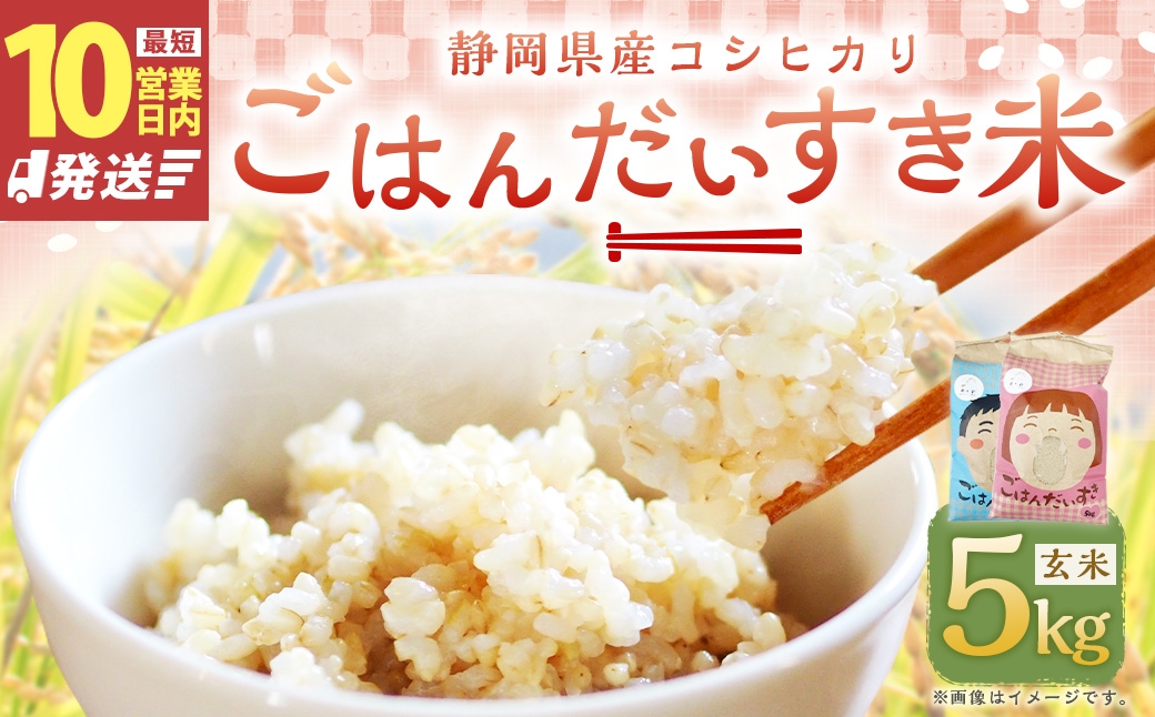 静岡県産コシヒカリ 玄米 5kg （5kg×1袋）