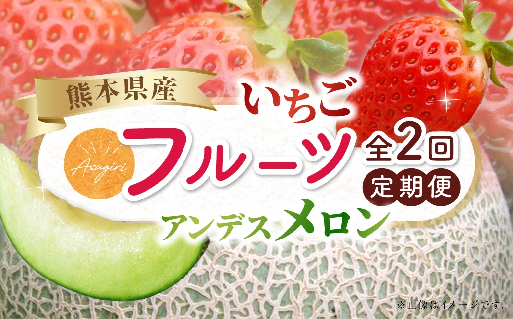 【フルーツ2回定期便】 球磨のいちご1kg+アンデスメロン5kg