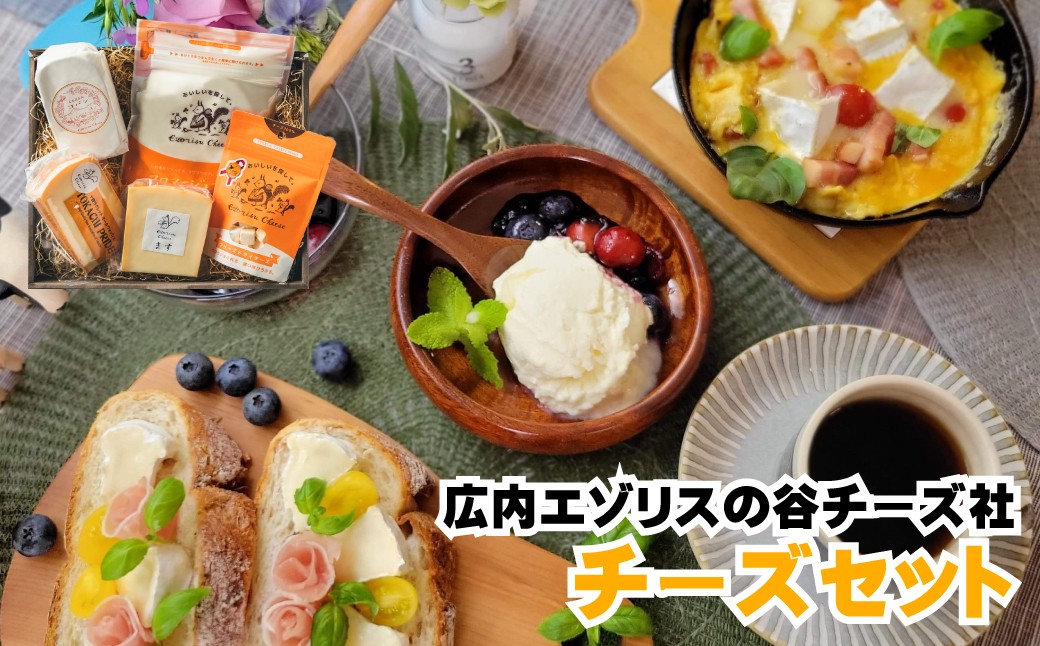 人気チーズ5点セット