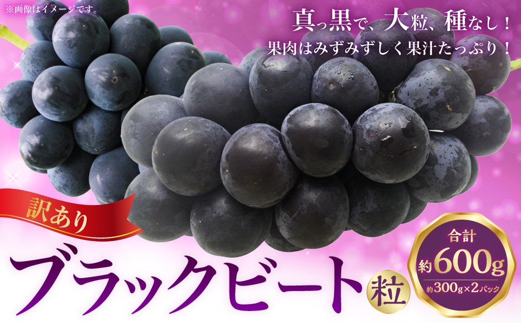 （訳あり） ブラックビート粒 約600g（約300g×2パック）