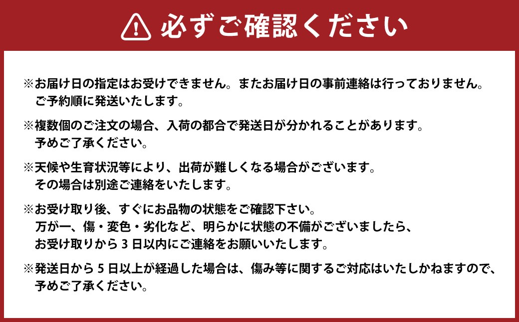 （訳あり） ブラックビート 2房 約1.1～1.2kg