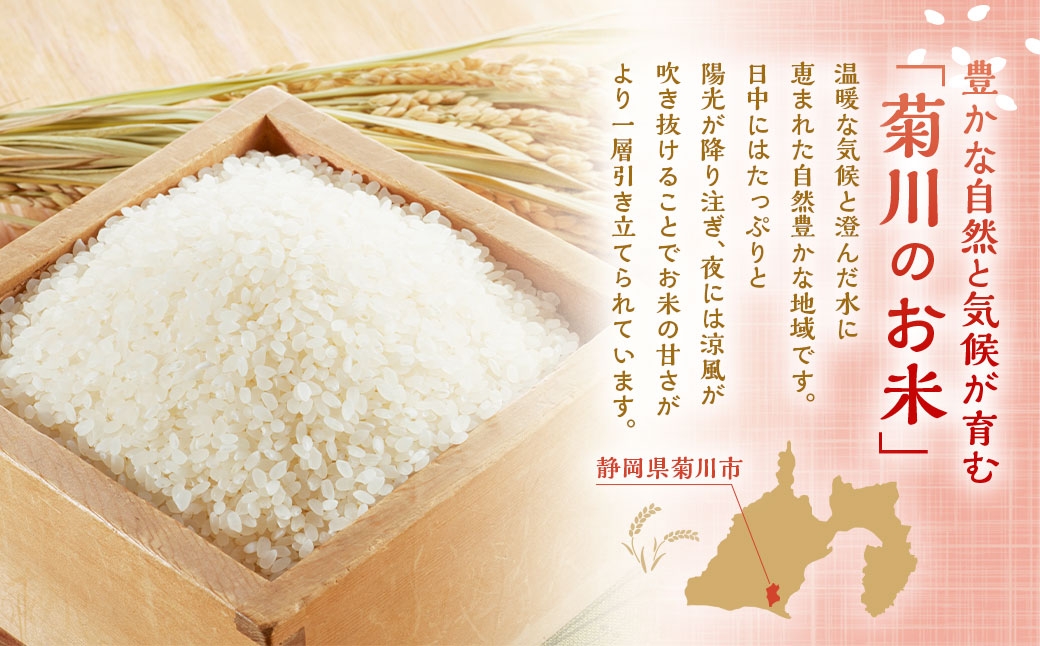 静岡県産コシヒカリ 精米 10kg （5kg×2袋） 
