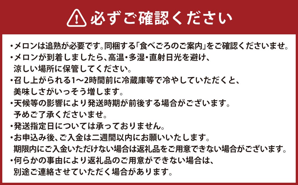 肥後グリーンメロン 2玉（4.2～4.5kg）
