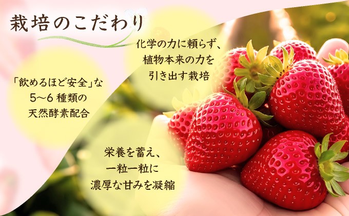 配送時に傷みにくい「ゆりかごパック」でお届けします