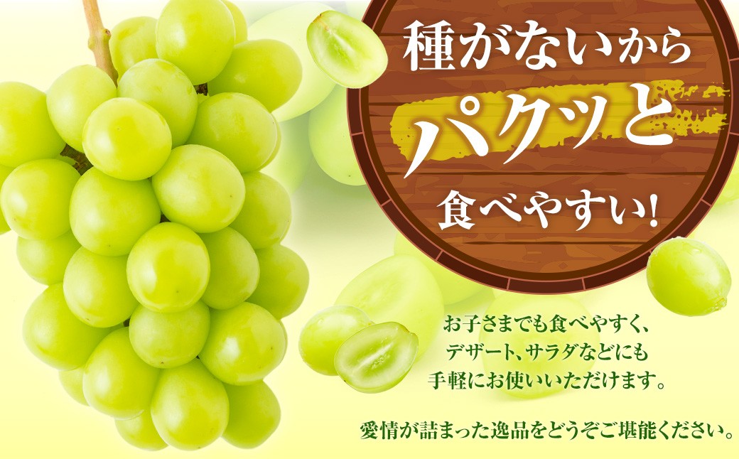 【先行予約】 上村農園 （ハウス） シャインマスカット 2～3房