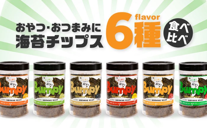 海苔チップス のり 海苔 ノリ 有明海 おつまみ おやつ 味海苔 ケース セット