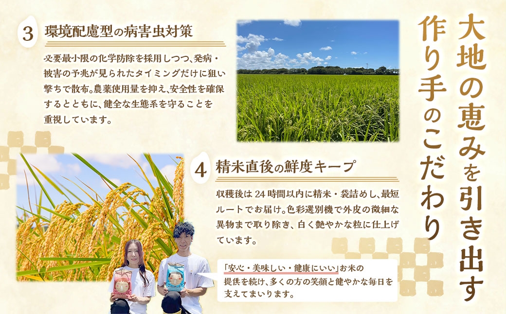 静岡県産コシヒカリ 精米 10kg （5kg×2袋） 