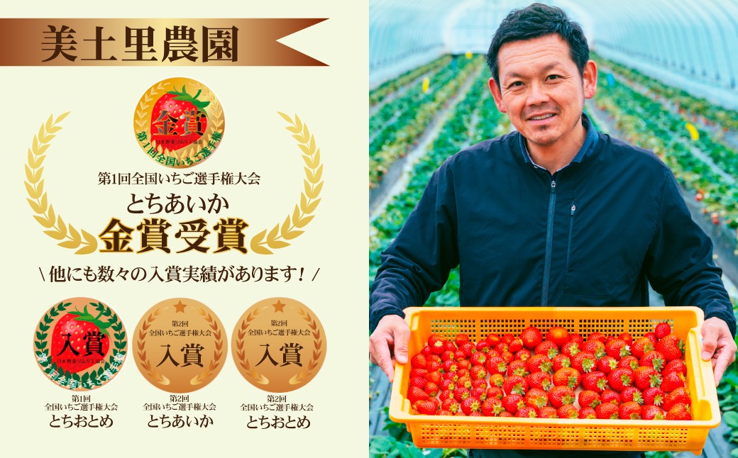 いちご イチゴ 苺  ストロベリー とちおとめ いちご イチゴ 苺  ストロベリー とちおとめ
