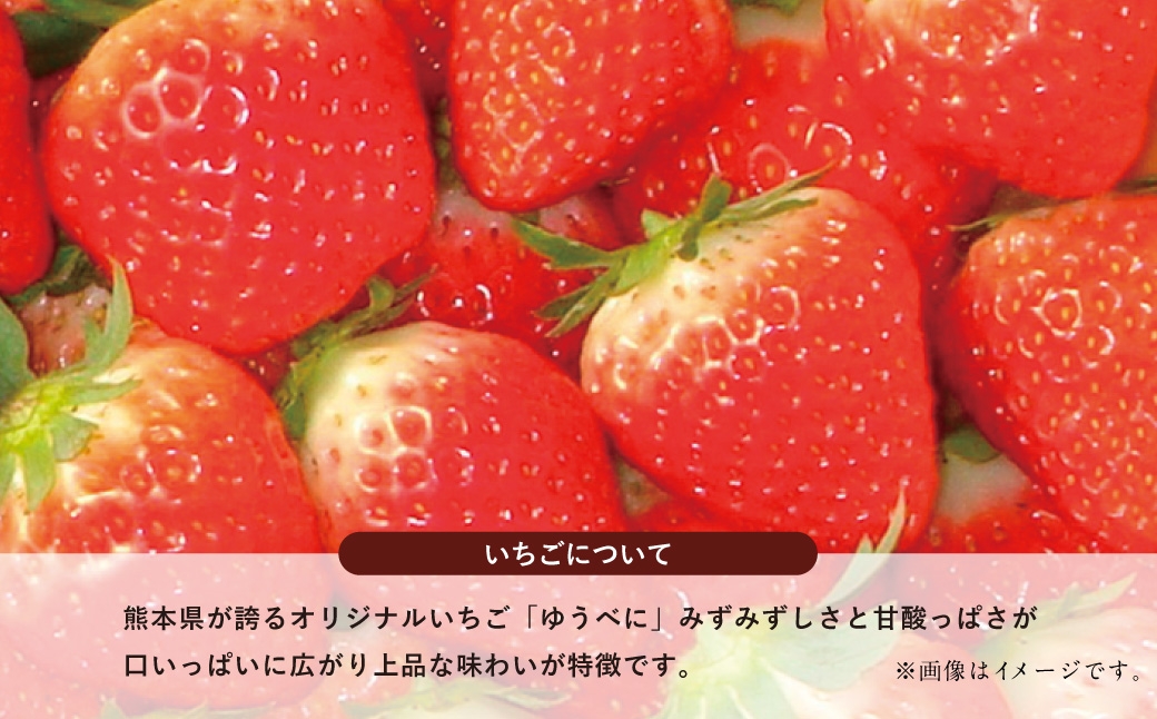 【フルーツ2回定期便】 球磨のいちご1kg+アンデスメロン5kg