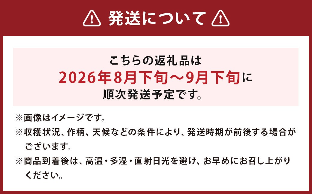 球磨美人 井上さんちの 白ネギ 2L × 20本