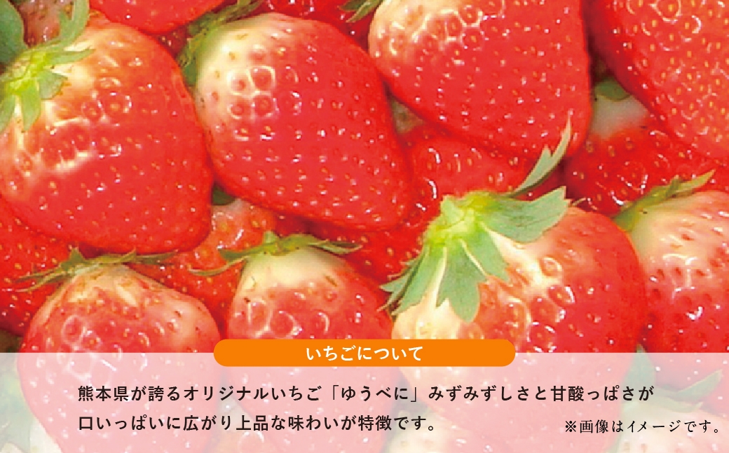 【フルーツ3回定期便】 球磨のいちご1kg×4パック＋桃1kg＋梨5kg