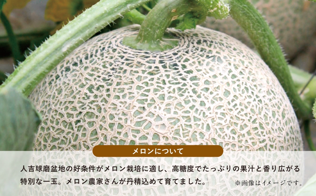 【フルーツ3回定期便】 球磨のいちご1kg×4パック＋アンデスメロン5kg＋桃1kg