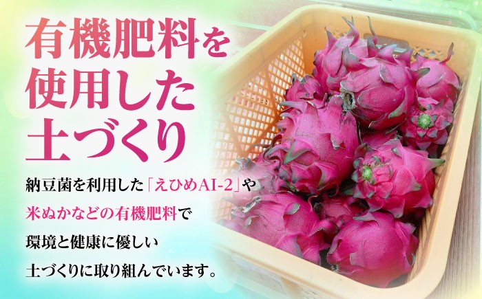 フルーツ ふるーつ 赤 果肉 レッド ピタヤ トロピカルフルーツ トロピカル くだもの 青果 果実 国産 産地直送 産直 沖縄市