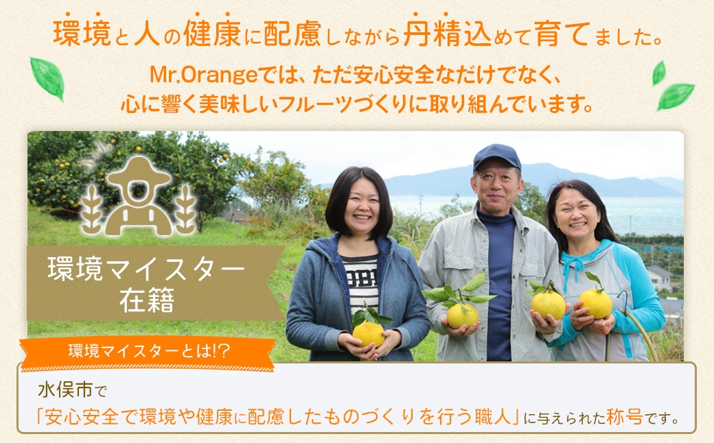 環境マイスターの不知火 訳あり 4kg