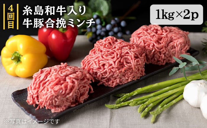 定期便 博多 華豚 地鶏 焼肉 BBQ すき焼き しゃぶしゃぶ 黒毛 和牛