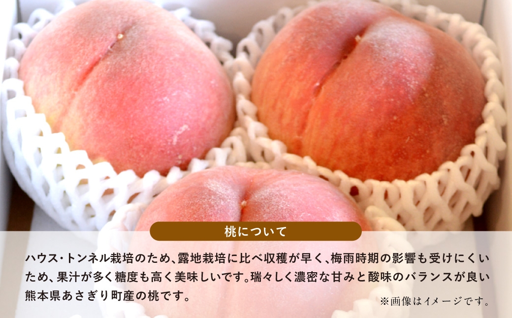 【フルーツ3回定期便】 球磨のいちご1kg×4パック＋アンデスメロン5kg＋桃1kg