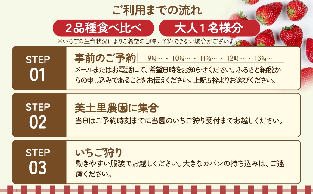 いちご イチゴ 苺  ストロベリー とちおとめ いちご イチゴ 苺  ストロベリー とちおとめ