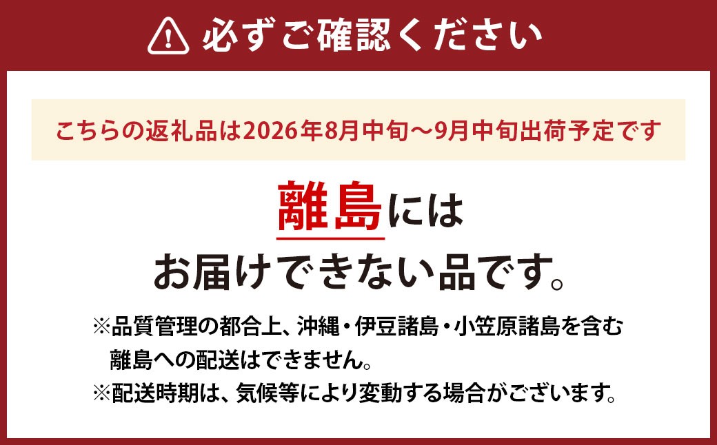 BKシードレス 3房～5房