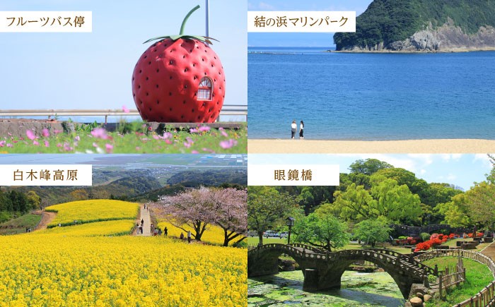 いも イモ 芋 さつまいも さつま芋 サツマイモ 安納芋 スイーツ すいーつ 芋スイーツ いもスイーツ