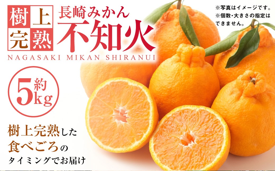 【樹上完熟】長崎みかん（ 不知火 ）約5kg