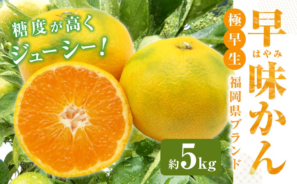 福岡県ブランド みかん 「早味かん」 5kg