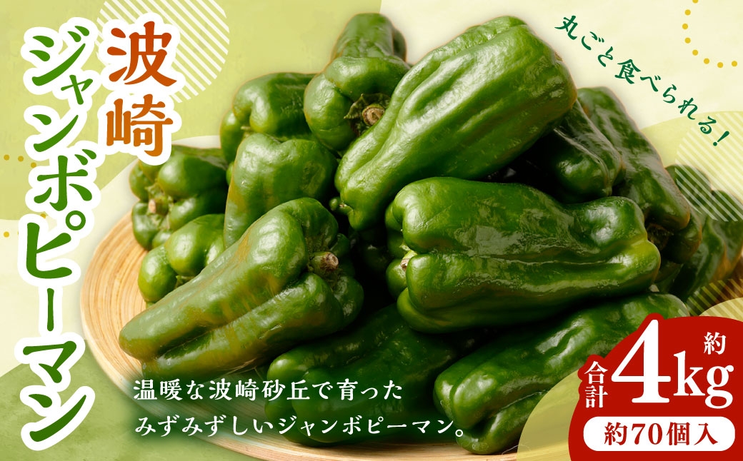 AY-2 丸ごと食べられる！波崎ジャンボピーマン　4kg（約70個入り）