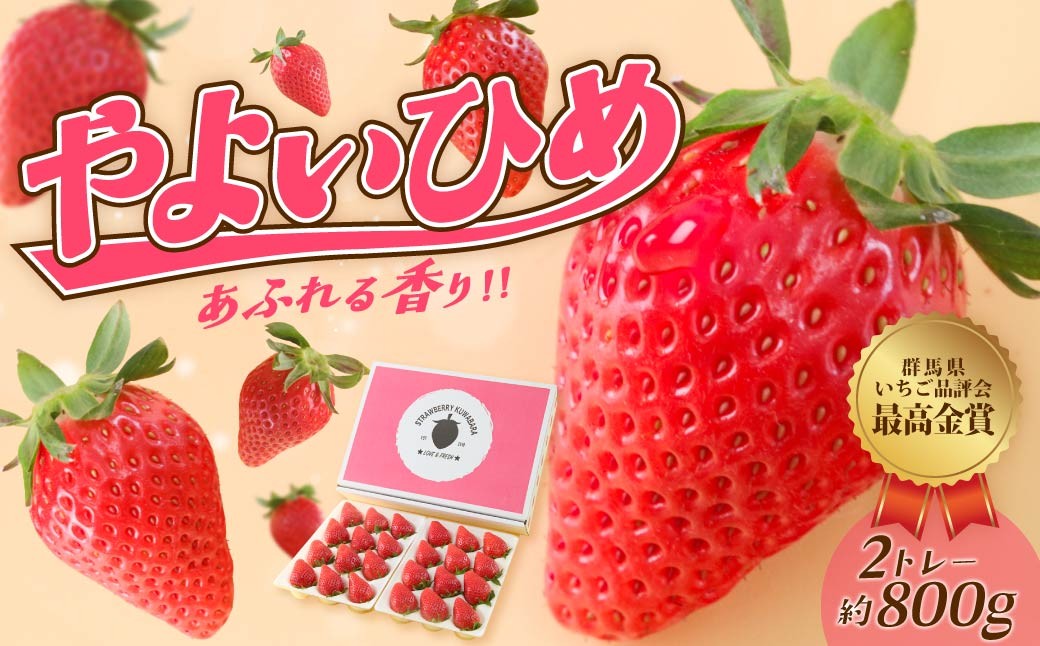いちご やよいひめ (贈答用) 約800g 群馬県いちご品評会最高金賞受賞