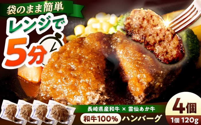 ハンバーグ はんばーぐ hannba-gu hamburg 国産はんばーぐ 小分け 個包装 