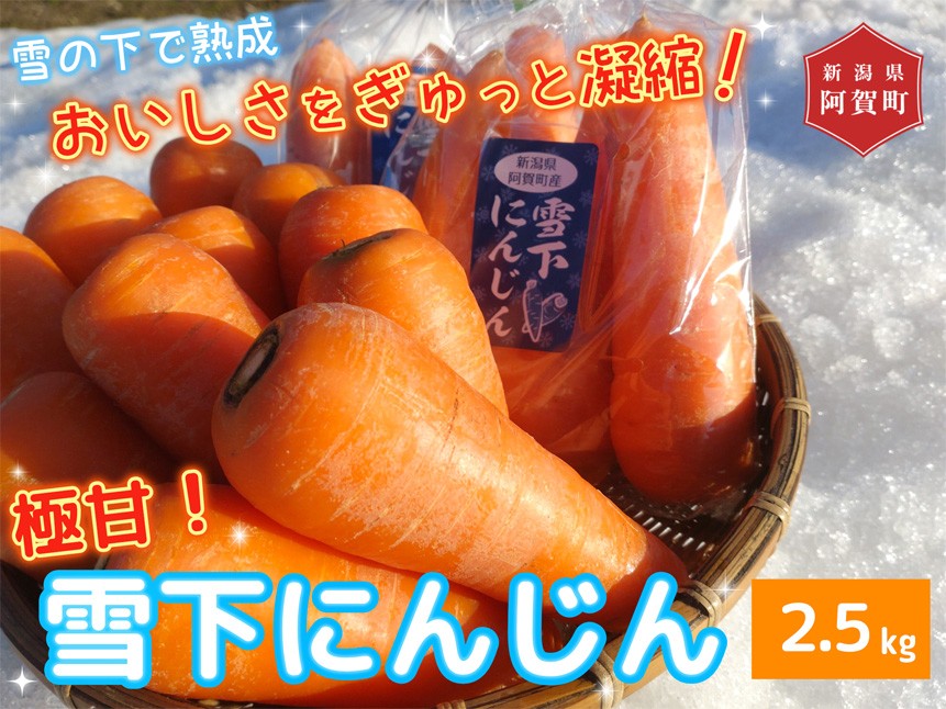 ※画像はイメージです。