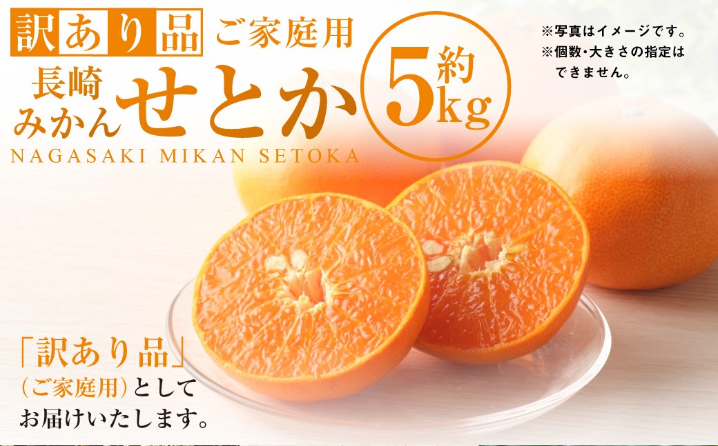 【訳あり品】長崎みかん（せとか）約5kg