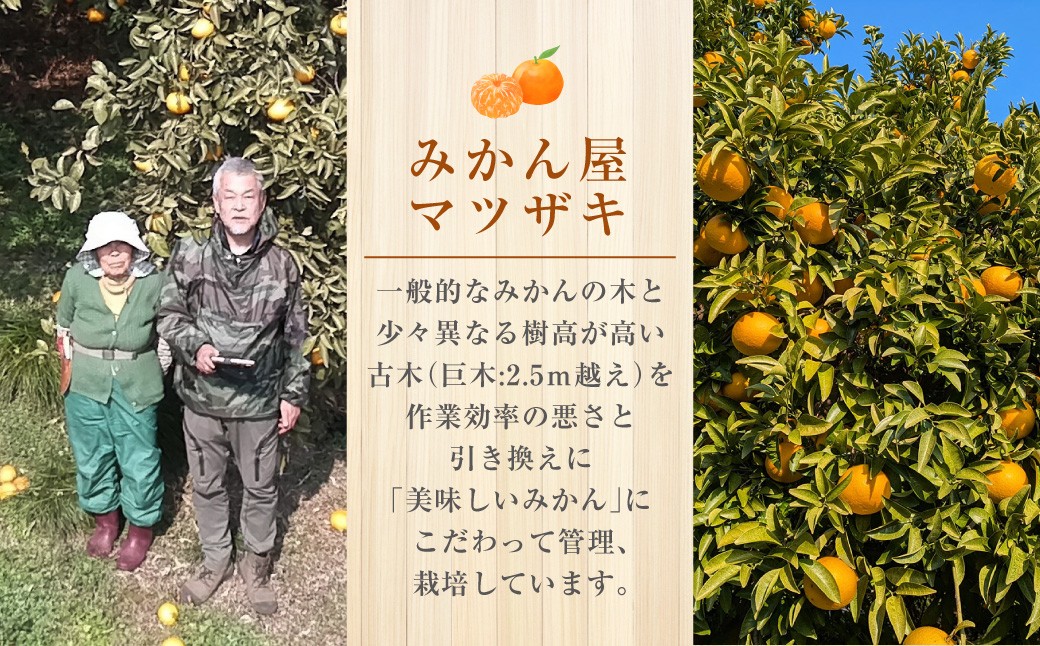 【樹上完熟】長崎みかん（ 甘夏みかん ）約7kg