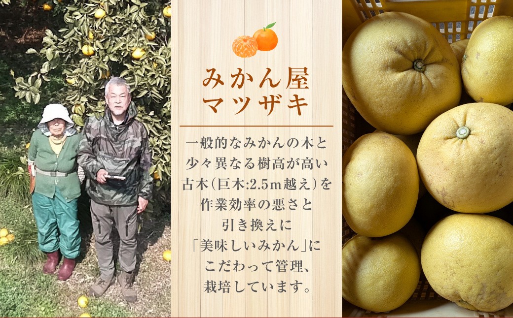 【樹上完熟】長崎みかん（紅まどか）約5kg