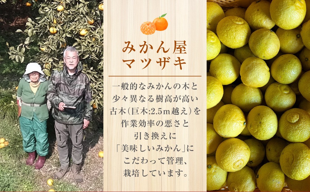 【樹上完熟】長崎みかん （はるか） 約5kg