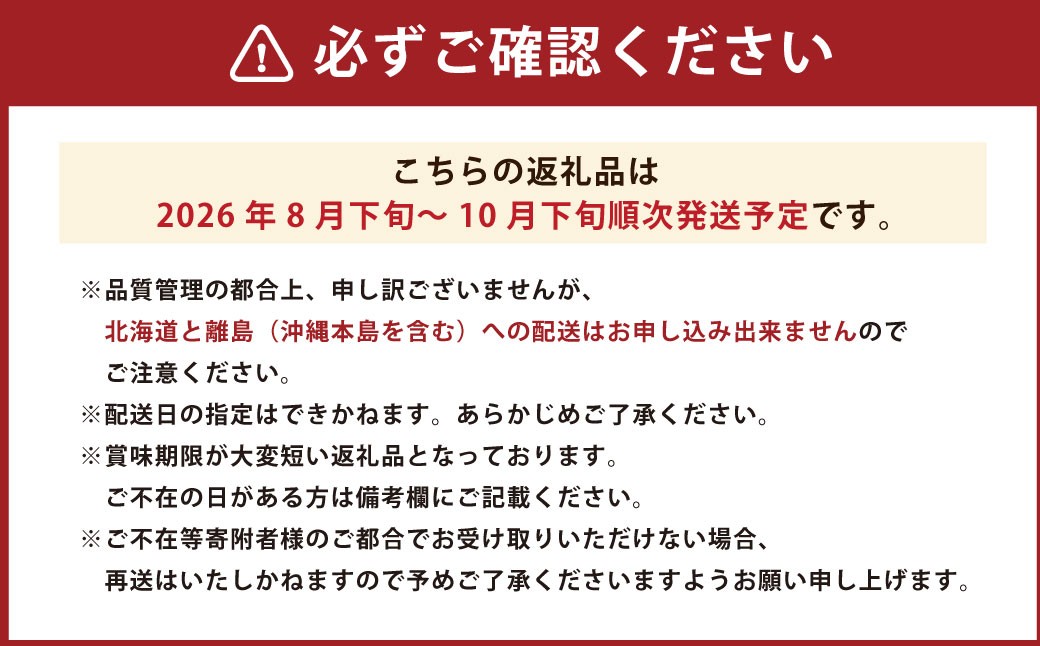 福岡県ブランド いちじく 「博多とよみつひめ」 約300g×4パック （計約1.2kg）