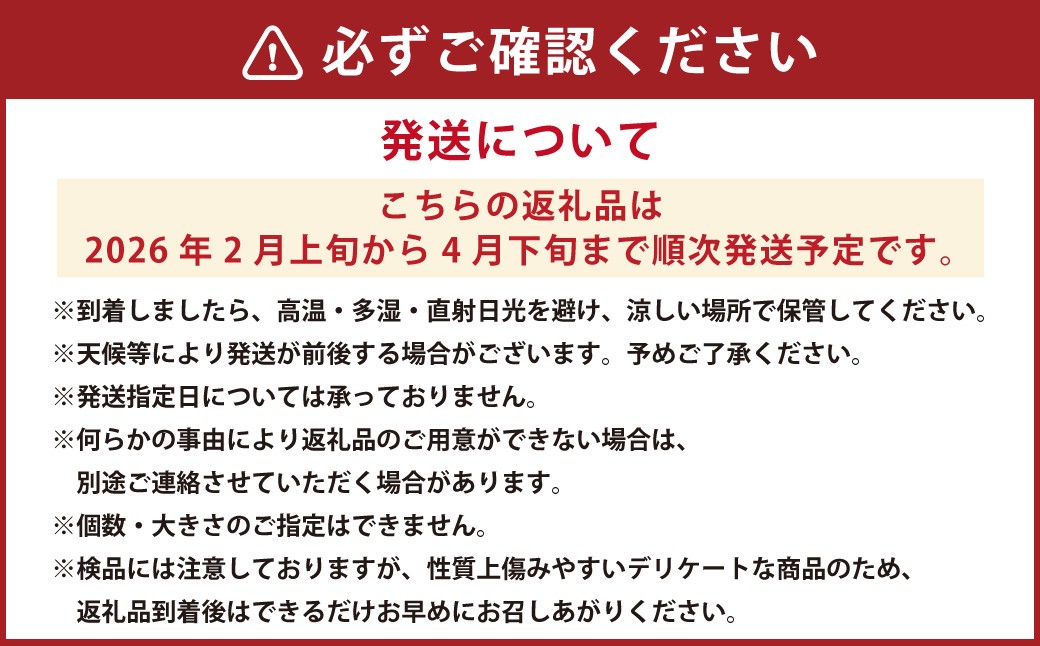 【樹上完熟】長崎みかん（紅まどか）約5kg