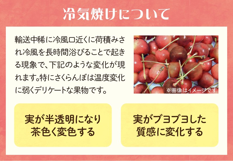 《先行受付》さくらんぼ 山形紅王（やまがたべにおう）約500g  (2Lサイズ以上) 【2026年6月中旬～順次発送予定】