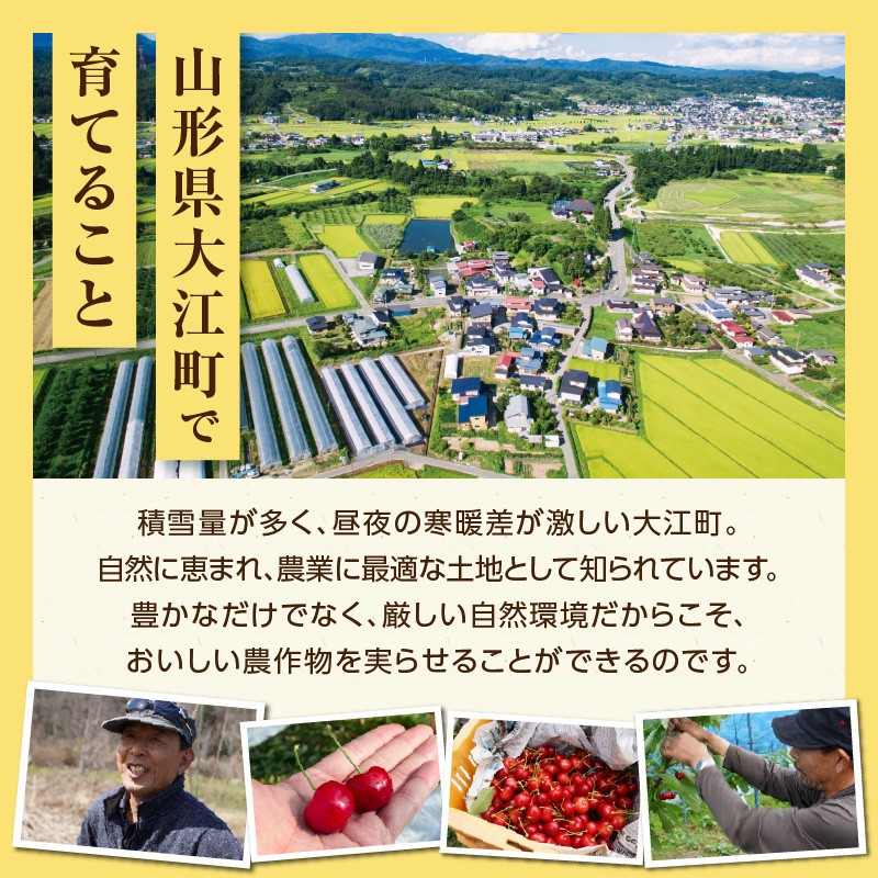《先行受付》枝豆（秘伝）約1kg【2025年9月下旬より順次発送予定】