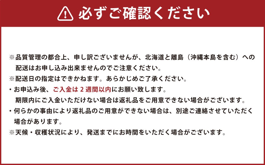 博多甘うぃ （キウイフルーツ） 約3.6kg