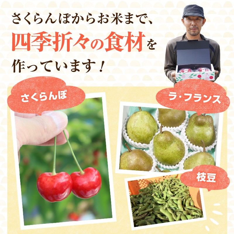 《先行受付》枝豆（雪音）約1kg【2025年8月末より順次発送予定】