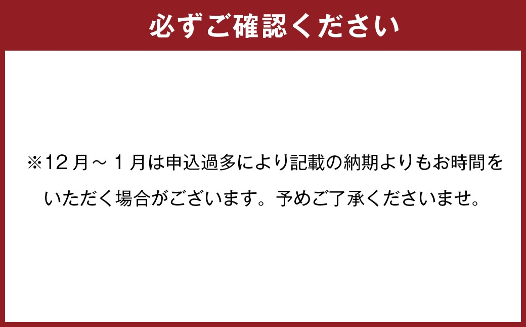 ちゃポリタン10食セット 新名物 ちゃんぽん かまぼこ