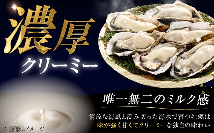 牡蠣 むき身 殻付き かき カキ 生牡蠣 広島牡蠣 オイスター