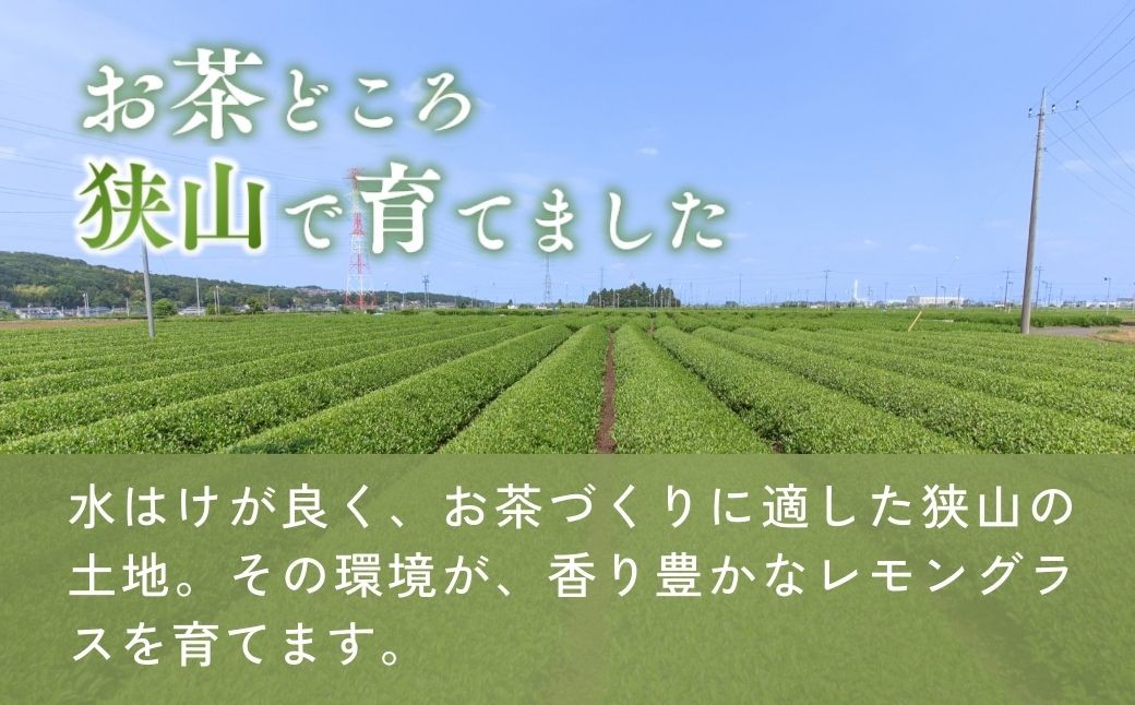 ハーブティー お茶 紅茶 ティーバッグ ティーパック レモングラス ハーブ リラックス