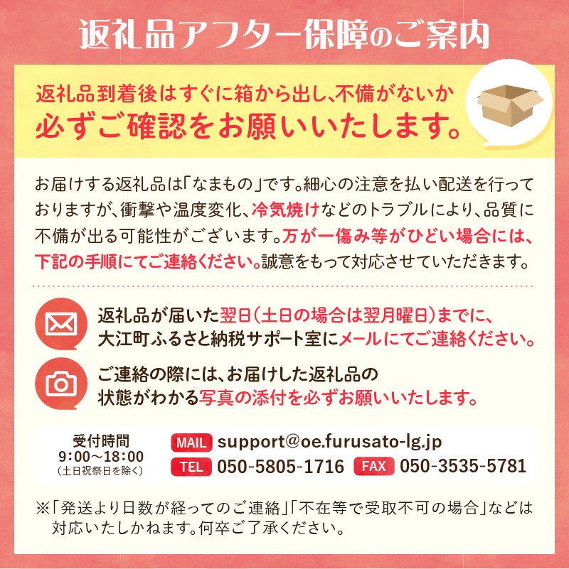 《先行受付》さくらんぼ 山形紅王（やまがたべにおう）約500g  (2Lサイズ以上) 【2026年6月中旬～順次発送予定】