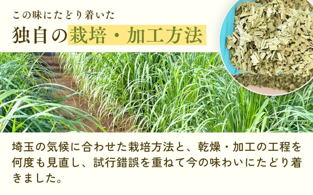 ハーブティー お茶 紅茶 ティーバッグ ティーパック レモングラス ハーブ リラックス