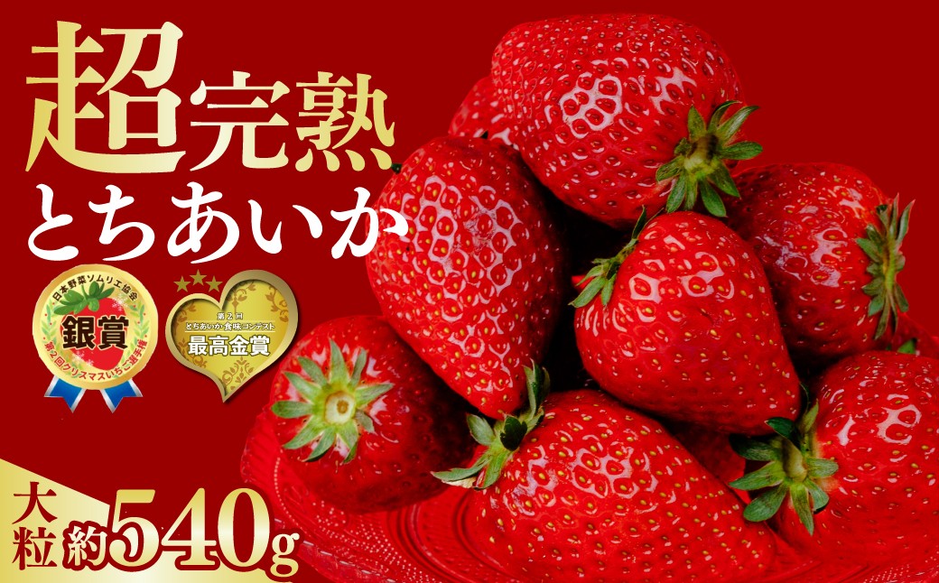 いちご イチゴ 苺 とちあいか 第2回いちご選手権金賞 ブランドいちご ストロベリー 完熟 甘い あまい 果物