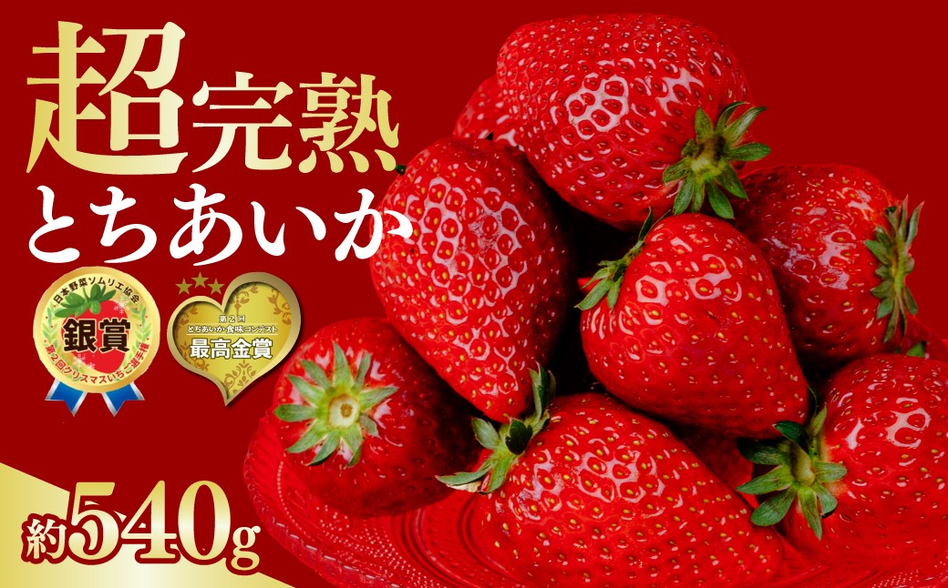 いちご イチゴ 苺 とちあいか 第2回いちご選手権金賞 ブランドいちご ストロベリー 完熟 甘い あまい 果物