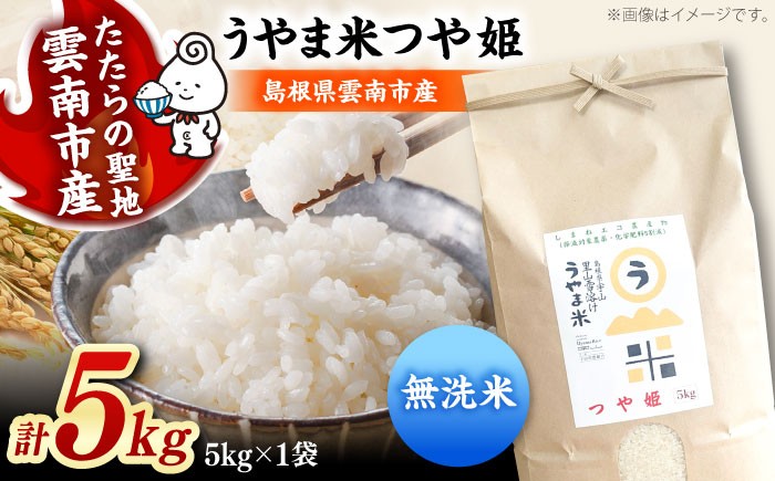 無洗米 コメ つや姫 白米 5キロ
