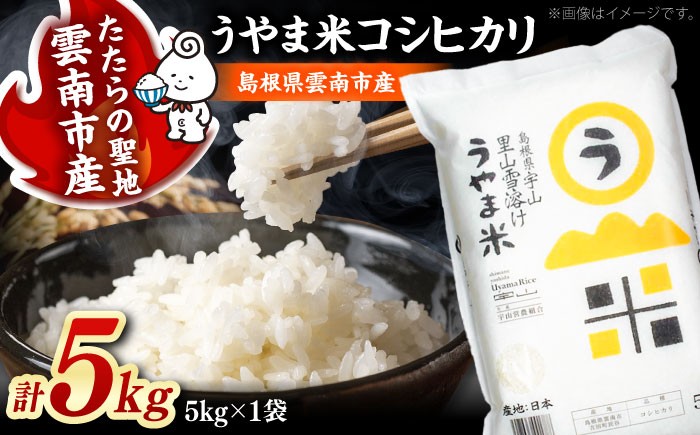 コシヒカリ 白米 島根